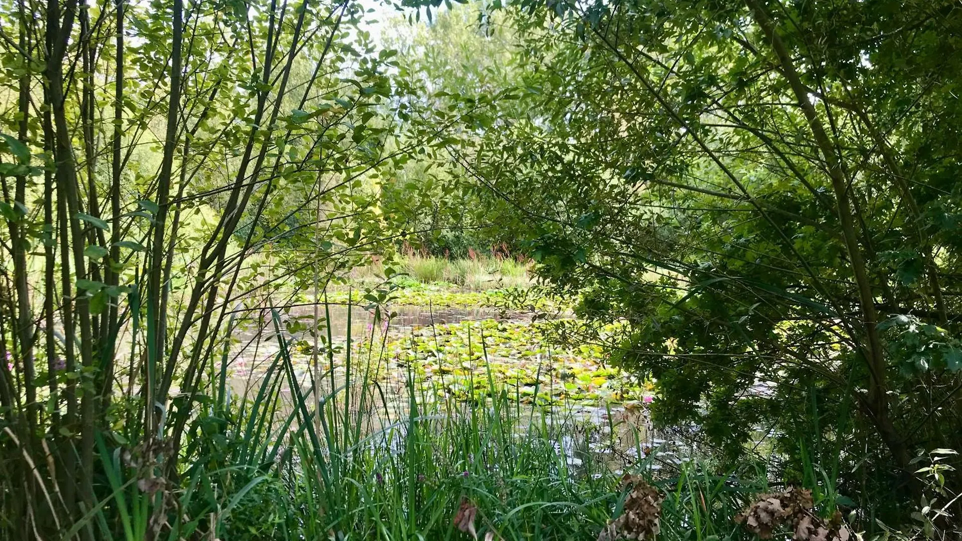 Eikenburg B&B Eindhoven Niederlande