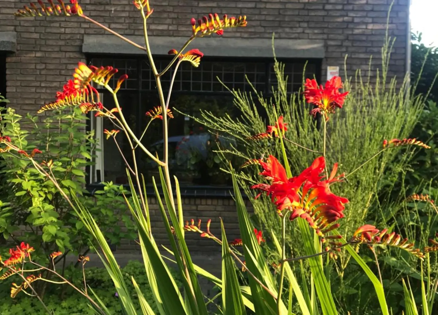 Frühstückspension Eikenburg B&B Eindhoven
