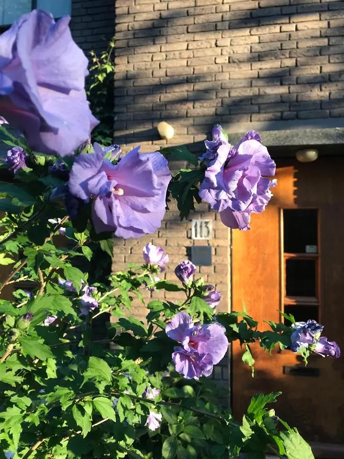 Eikenburg B&B 에인트호번 0*,